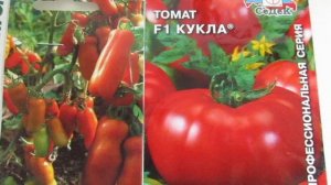 Томаты низкорослые.ЖИГАЛО И КУКЛА.Урожайные и вкусные.