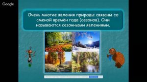 Окружающий мир 2 класс 3-4 недели. Живая и неживая природа. Явления природы. Погода