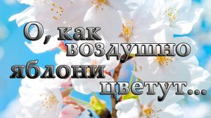 О, как воздушно яблони цветут*