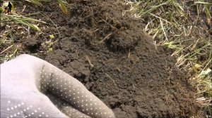 Коп с XP ORX на БАРСКОЙ УСАДЬБЕ.