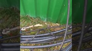 Чистка скважины от ржавой воды