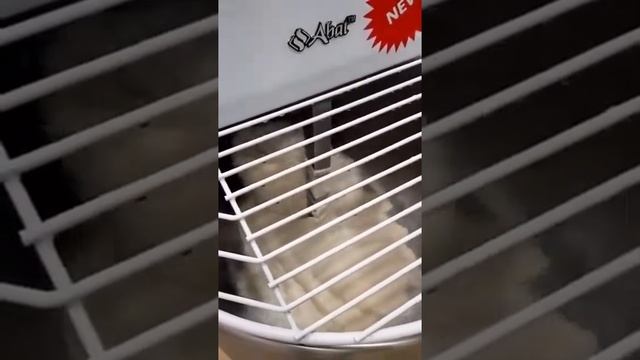 Готовим идеальную римскую пиццу на оборудовании Abat! смотреть онлайн