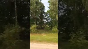"Ой,калина" Александр Бардин( группа"САДко")