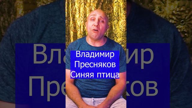 Владимир Пресняков - Синяя птица Клондайс кавер