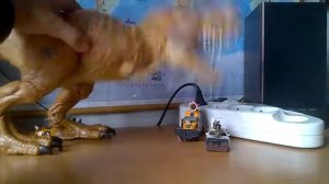 1видео/ШОК! диназавры не вымерли!