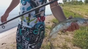 Рыбалка в Нижнем Займище! Лучший отдых и рыбалка на Волге!