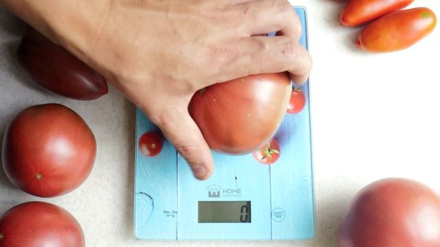 Томат Углерод. Победитель в номинации "Самый вкусный томат"!