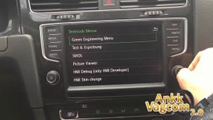 VW Discover Pro (MIB2) Green engineering menu enabled