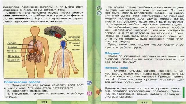 Организм человека. Окружающий мир. 3 класс, 1 часть. Учебник А. Плешаков стр. 122-125