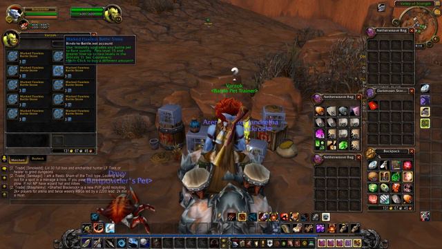 World of Warcraft: Warlords of Draenor Lvl 1-100 Walkthrough w/ Ardy | Part 23: Pet Battles смотреть онлайн