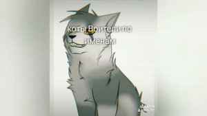 Какой ты кот воитель  Коты Воители по именам