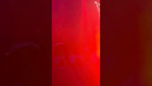 Масло черного тмина - Dondiablo