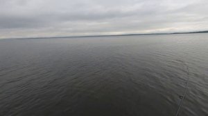 ЛОВИМ САРГАНА,Владивосток ДЕ ФРИЗ 15.06.2022