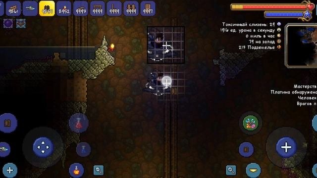 прохожу Terraria