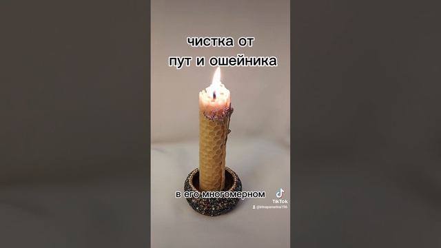 чистка от пут и ошейника. программа ликвидирующая путы и ошейник.