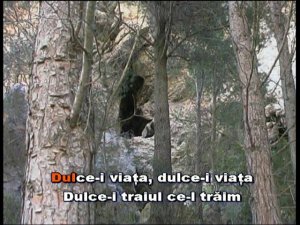 Dulce-i viața. Karaoke