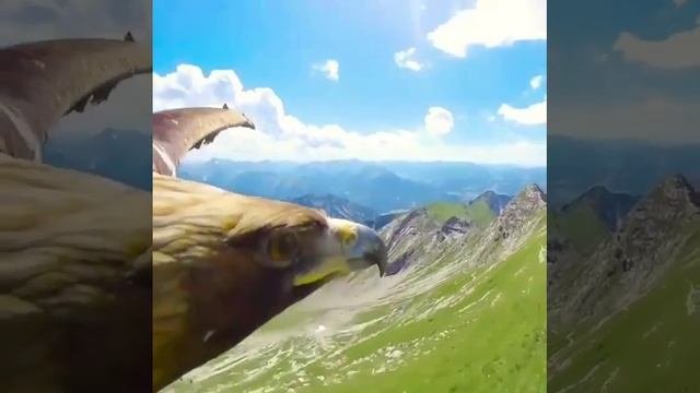 Крым. Горы.