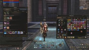 Полный гайд о Инквизиторе в Lineage 2 essence