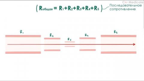 Сосудистое сопротивление - физиология сердечно-сосудистой системы, гемодинамика