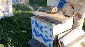 Обработка пчелиных семей от клеща Варроа эфирными маслами Апистанзоль. Предварительные результаты