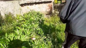 Жизнь после инсульта.Небольшая прогулка.Вот это я забрёл!