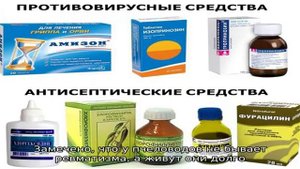 Продукты пчеловодства и их использование человеком
