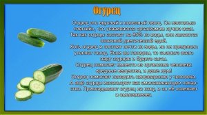 Презентация на тему овощи и фрукты полезные продукты