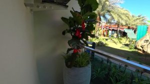 Купить квартиру на Пхукете и получать доход. Подробный обзор Vip Kata 2 от Thadex. Таиланд, Пхукет.