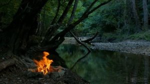 Когда можно опрыскивать плодовые деревья от вредителей?