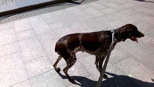 Красная площадь, Исаакиевский собор, Спасская башня кремля Московского, Рогнеда Московская смотреть онлайн