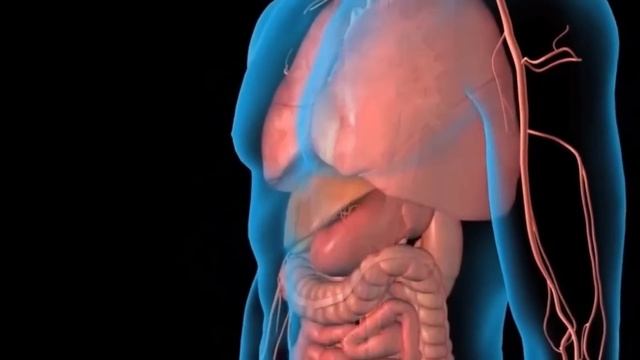 НАСКОЛЬКО ОПАСНА ВАША БОЛЬ? БОЛИТ ЛИ СЕРДЦЕ? смотреть онлайн