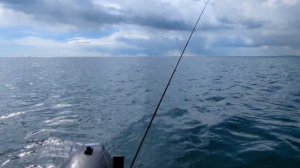 Lure Fishing For Plaice Off An Inflatable Boat - Honwave T35