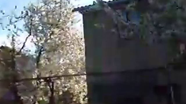 Цветущая черешня Цуркана смотреть онлайн