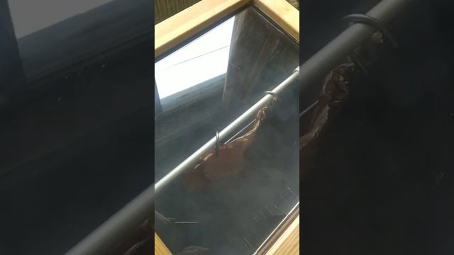 Такой аппарат должен быть в каждом доме!!! Лещ Х/К за 7 минут! Электростатика