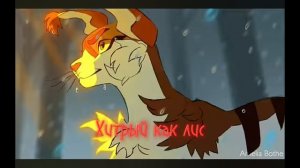 Коты-воители , как строчки из песен