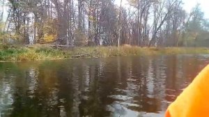 Рыбалка на Битюге