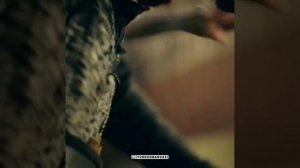 РАЗОЗЛИЛИ АК-ТЕМУРА