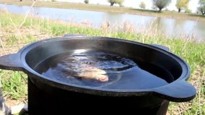 УХА в Астрахане. Астраханская уха.