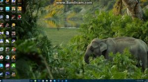 Как исправить ошибку failed to create d3d device в CS GO