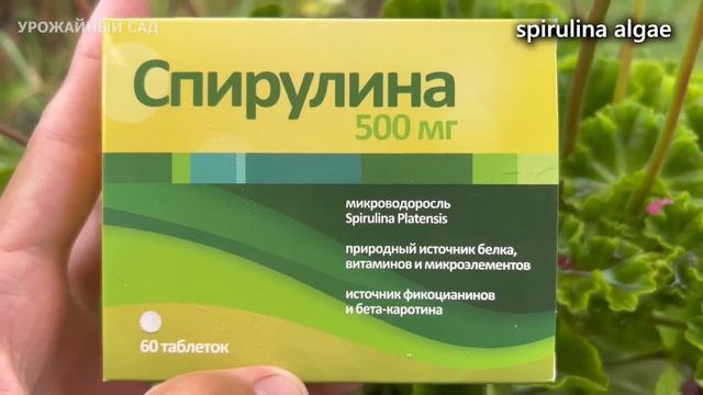 Ни одна подкормка не сравнится в Июле с этой таблеткой! Даже дохлый цветок зацветает как сумасшедши смотреть онлайн