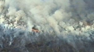 Есть такая профессия - лесничий...