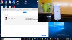 How to Factory Reset iPhone 8 With iTunes