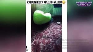 Я РЖАЛ ДО СЛЕЗ | 10 МИНУТ ЛУЧШИХ ПРИКОЛОВ Смешные видео - Лучшие Русские Приколы