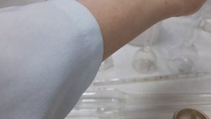 Краткий обзор посуды для количественного анализа. Аналитическая химия