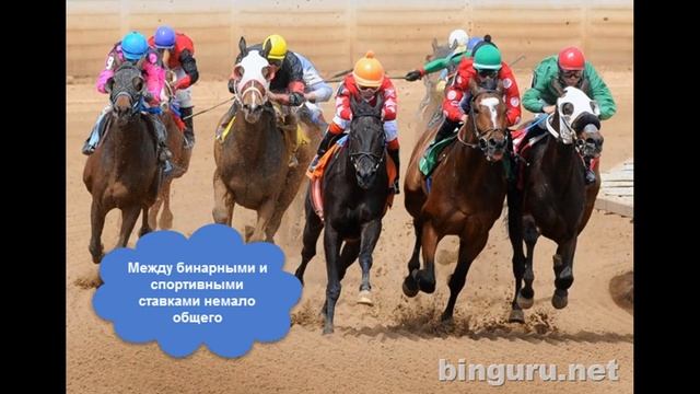 Бингуру в аудио / Что такое бинарные опционы / Часть 1