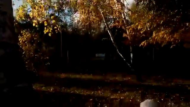 vlog:прогулка по осенниму парку , рассказ про листья деревьев смотреть онлайн