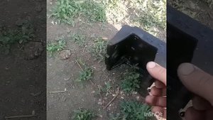 почвофреза и навеска на минитрактор из мотоблока