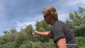 Ловля щуки нахлыстом.mp4