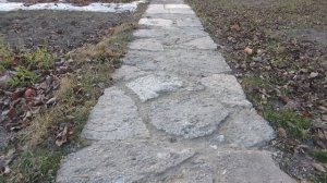 Состояние садовой дорожки из хлама после сезона