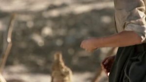 Павел Кашин _ Путеводная звезда